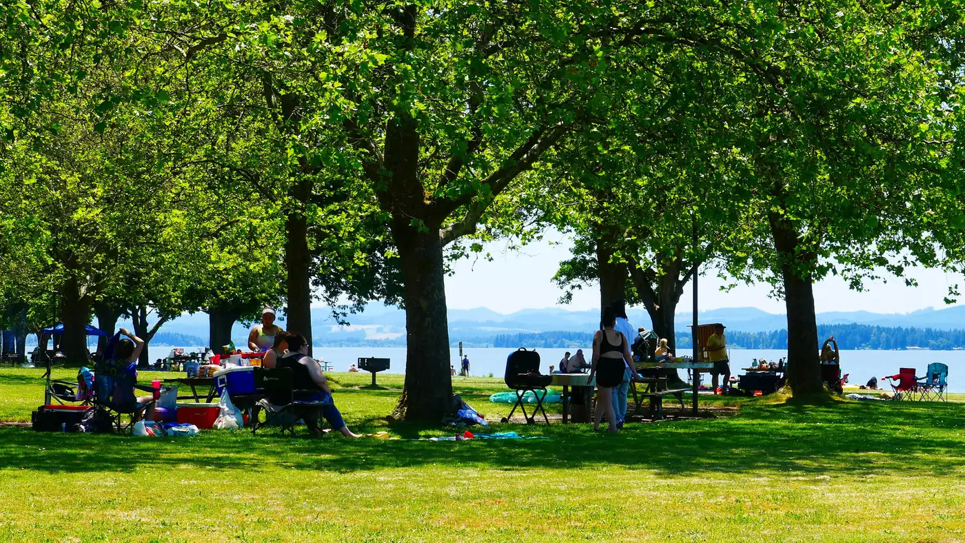 Families picnic under shade trees at Orchard Point County Park.