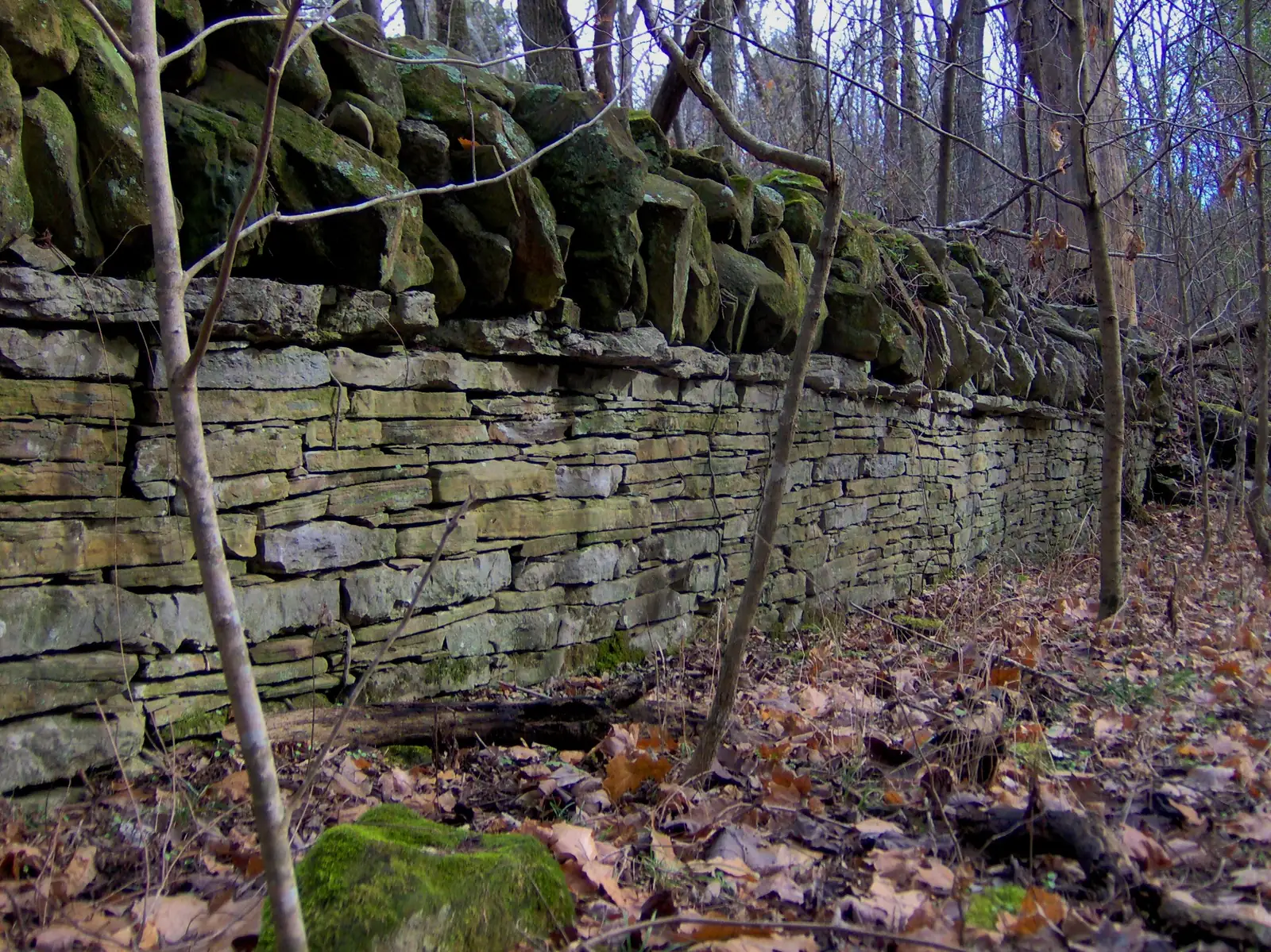 An old stone wall in the woods at Long Hunter State Park on Percy Priest Lake.